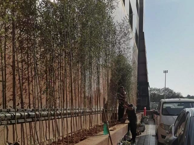 案例