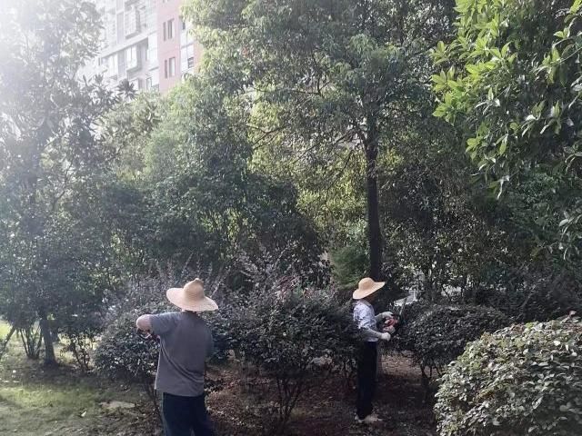 案例