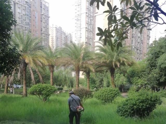 案例