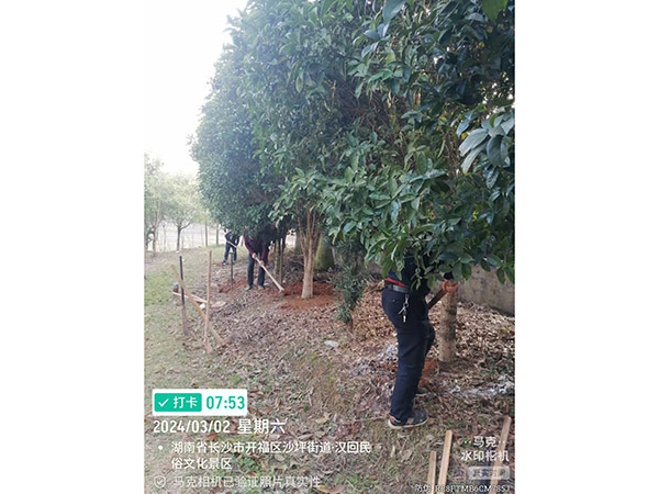 案例