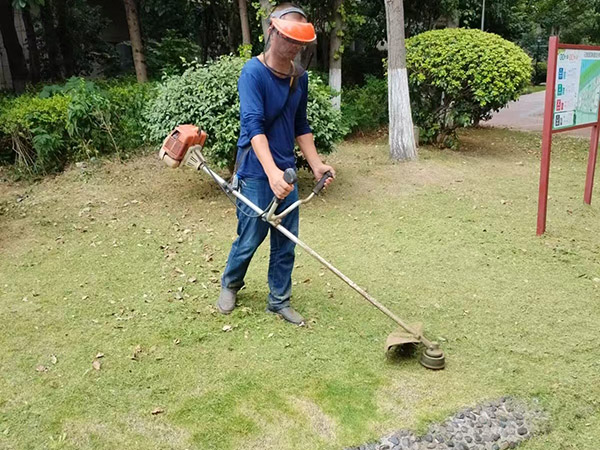 案例